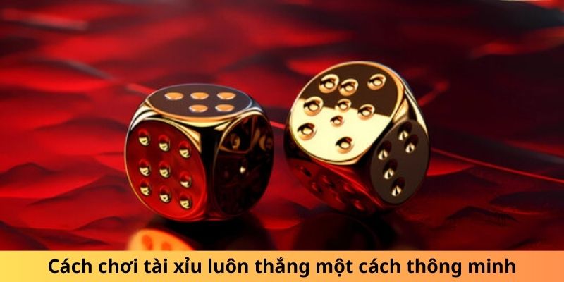 Cách Chơi Tài Xỉu Luôn Thắng - Cẩm Nang Newbie Toàn Tập 3 Những cách chơi tài xỉu luôn thắng thông minh nhất